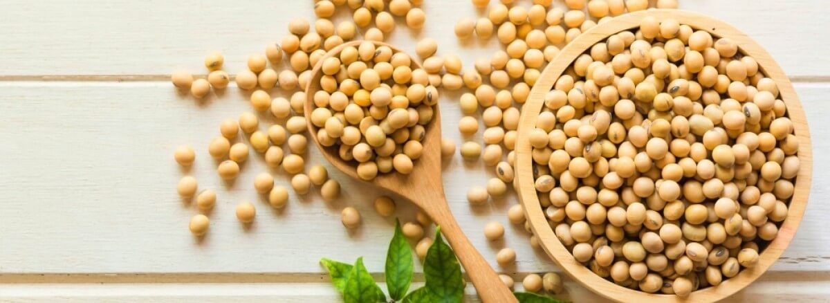 Soia: che effetti ha sulla salute della tiroide?