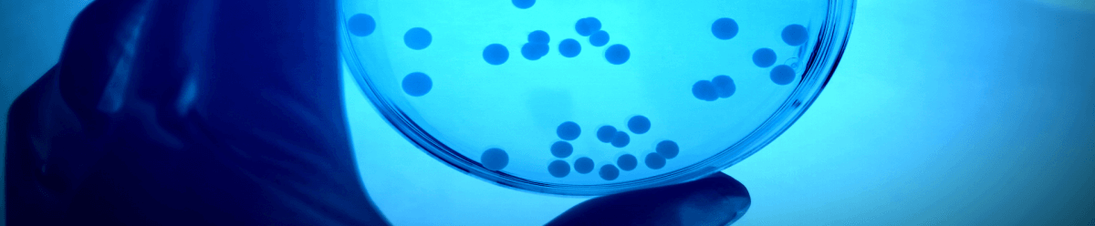 Il microbioma: come i batteri influenzano lo stato di salute della tiroide